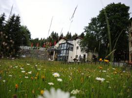 Gastinger Hotel-Restaurant, Hotel in Schmiedefeld am Rennsteig