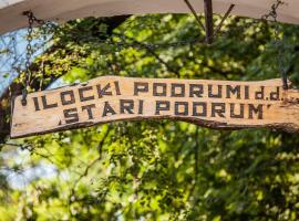 Hotel Stari Podrum, hotel in Ilok