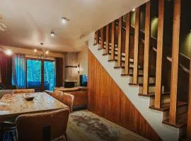 Luxury villa in Brezovica