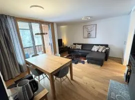 Beautiful Sunny New 1 Bed Apt (2.5Zim). Ski in/out