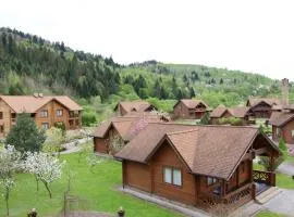 TAOR Karpaty Resort & Spa