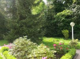 Apartment near Villa Turgenev, hotel in Baden-Baden