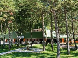 Hotel Carnia, hotel sa Venzone