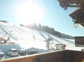 Chalet Hôtel Aiguille Blanche Logis, viešbutis mieste Le Žė