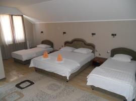 Guest house Vila Bor, hotel em Novi Sad