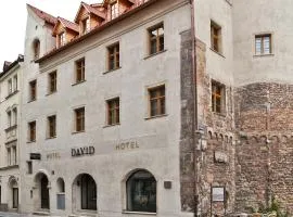 Hotel David an der Donau