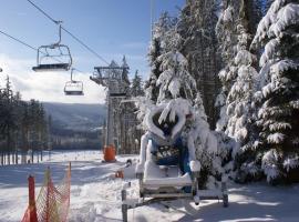 U Macháčků - Lipno – hotel w mieście Lipno nad Vltavou