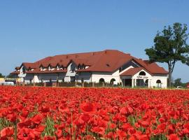 Hotel Dwór Galicja, ξενοδοχείο σε Stalowa Wola