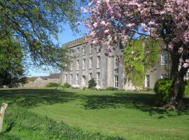 Ash Hill B & B, B&B i Kilmallock