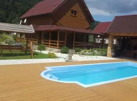 Guest House in Carpathians