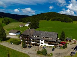 Landgasthof Jostalstüble: Titisee-Neustadt şehrinde bir otel