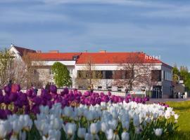 Strandhotel Alte Donau, rannahotell Viinis