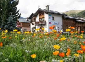 Chalet Irene Livigno