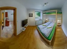 Apartmán Borůvka