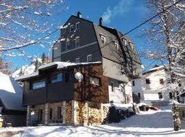 Apartments Artic, hotel amb jacuzzi a Jahorina