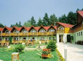 Park Hotel Čingov