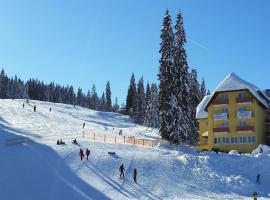 Burg Hotel Feldberg, hotel in Feldberg