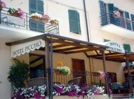 Hotel Picchio