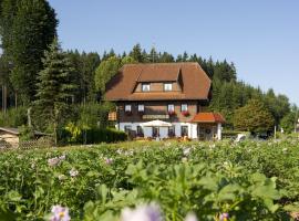 Gasthaus Schweizerhof, хотел в Титизее-Нойщат