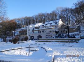 Hotel U Kozicky, hotel em Teplice