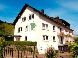 Weingut-Brennerei-Gästehaus Emil Dauns, hotel v destinácii Reil