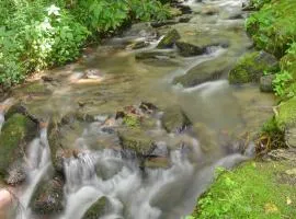 Panther Creek Cabins