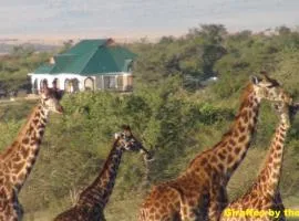 Narasha Homestay - Maasai Mara