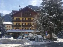 Hotel Pineta