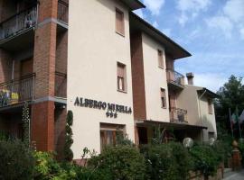 Hotel Mirella, hotel Castiglione della Pescaiában