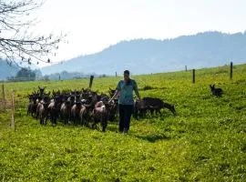 Agroturistika kozí farma Rožnov pod Radhoštěm