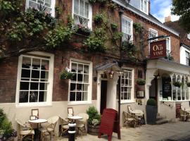 The Old Vine, hotel in Winchester