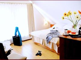 Apartamenty Pod Lwem, hotel di Swidnica