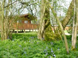 South Winchester Lodges – zakwaterowanie bez wyżywienia 