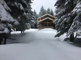 Uludag Orman Koskleri, koliba u gradu Uludag