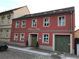 Goldener Anker, verschiedene gemütliche Ferienwohnungen, hotel in Rheinsberg