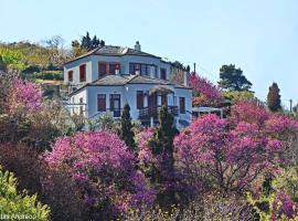 Stolios, hotel in Skopelos