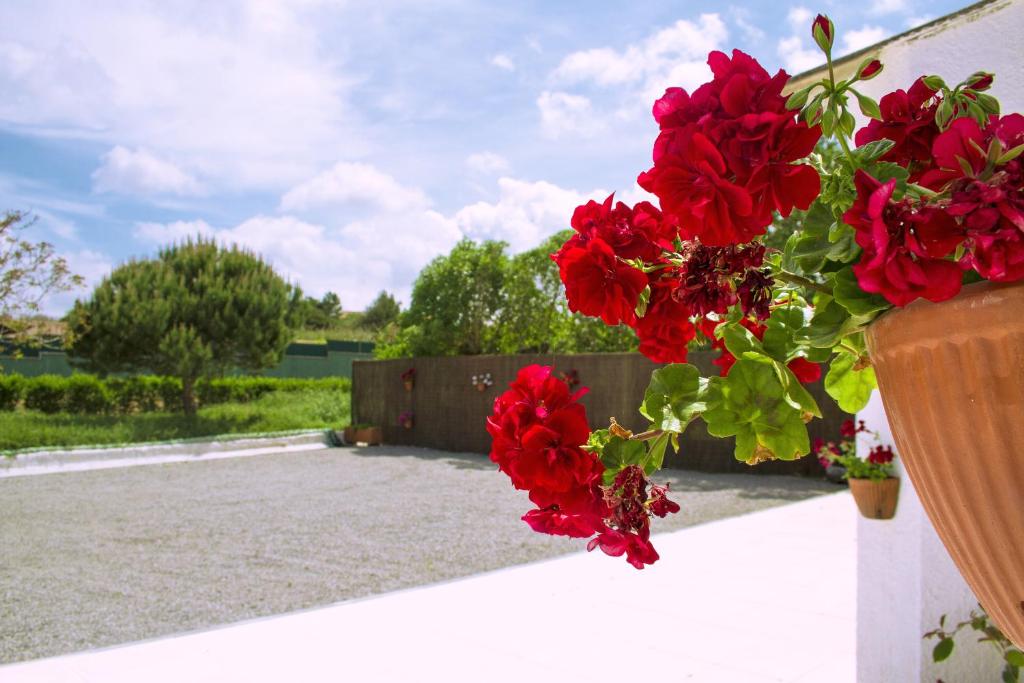 a bunch of red flowers on a white wall at Casal Do Góis Guest House in Atouguia da Baleia