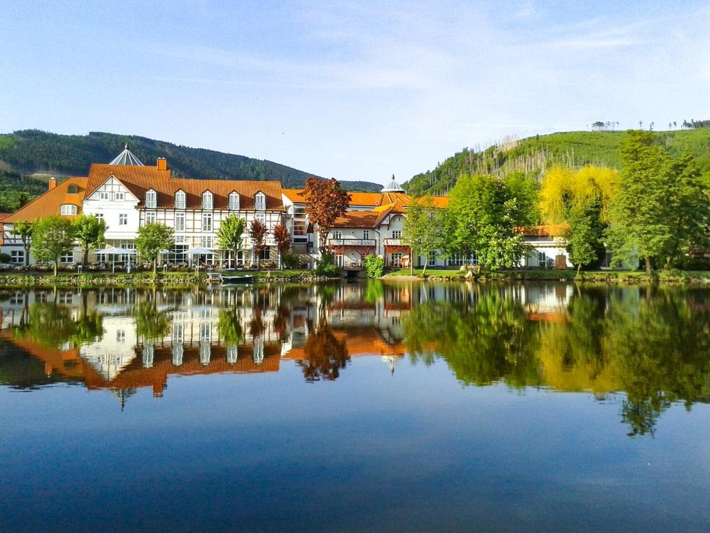 a large building next to a large lake at Landhaus Zu den Rothen Forellen in Ilsenburg