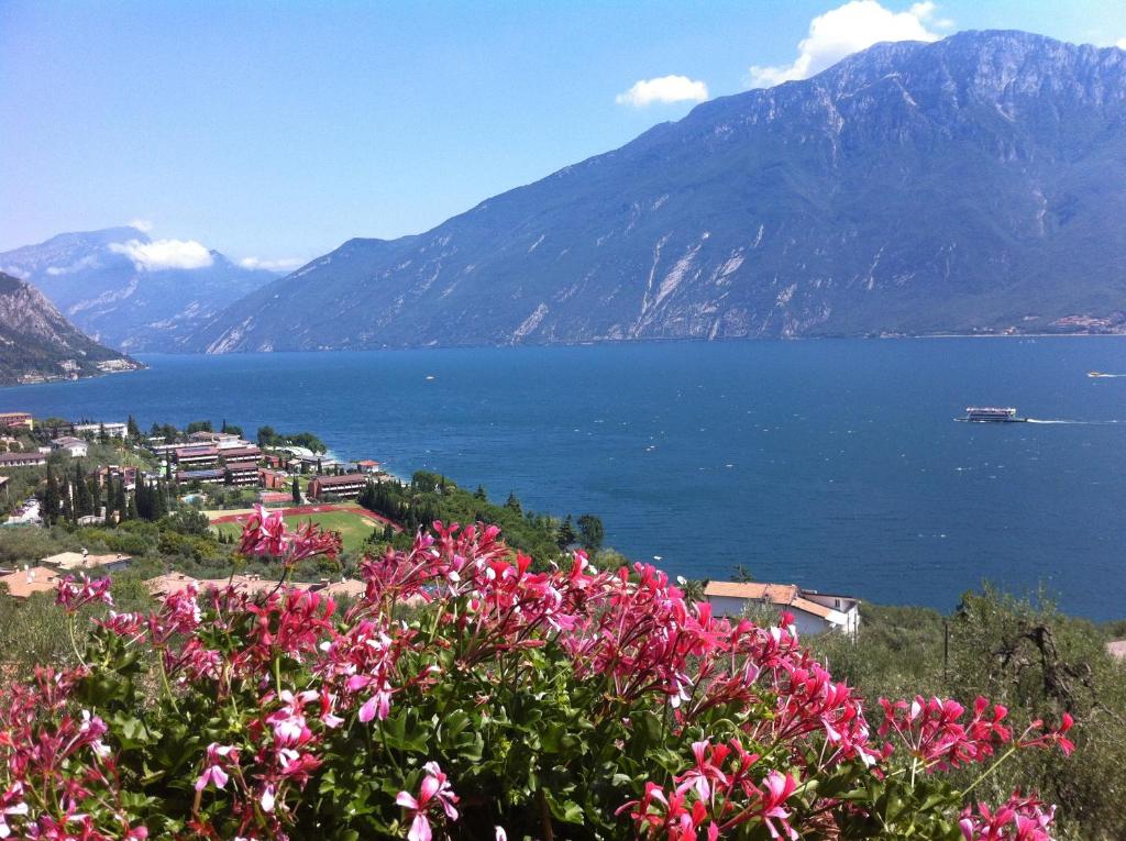 vista su un grande bacino d'acqua con fiori rosa di Hotel Villa Margherita a Limone sul Garda