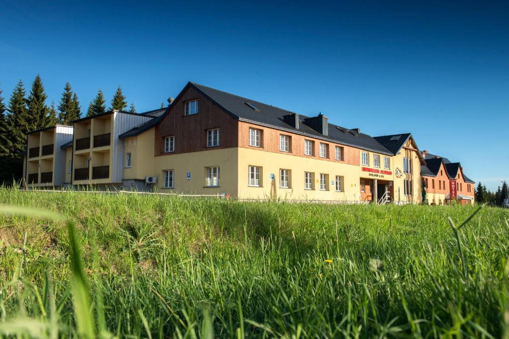 een groot gebouw op een grasveld bij Hotel Biathlon Sport & Spa in Szklarska Poręba