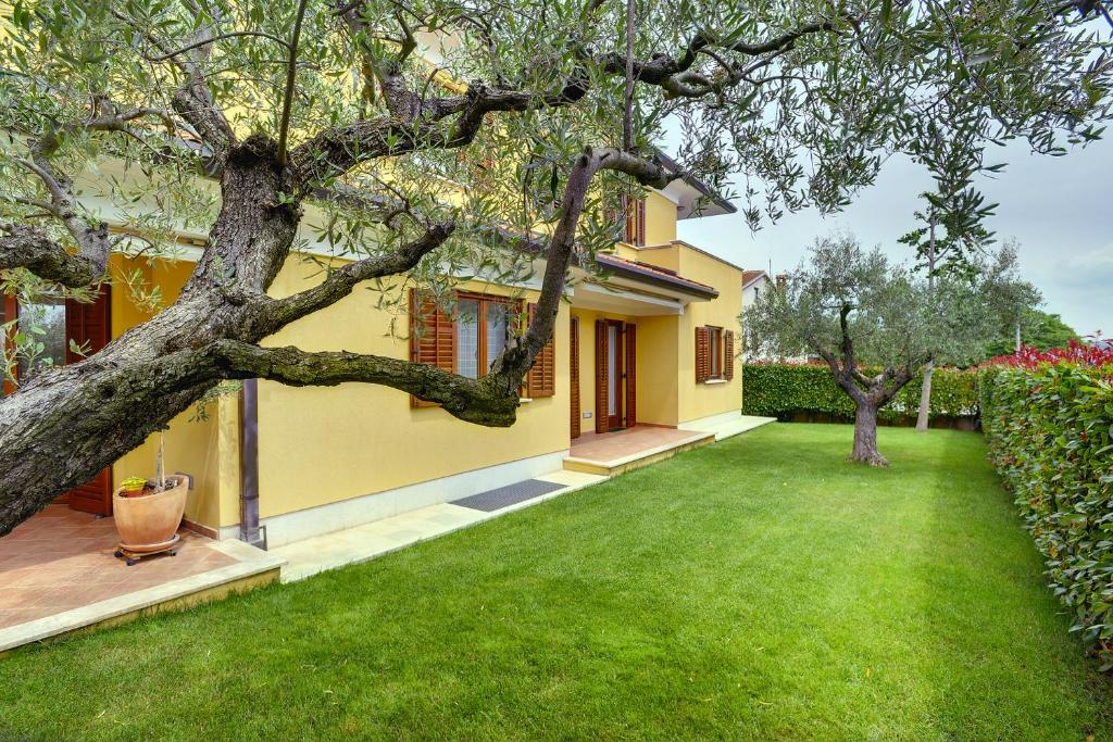 Villa NiNa B&B Rovinj tesisinin dışında bir bahçe