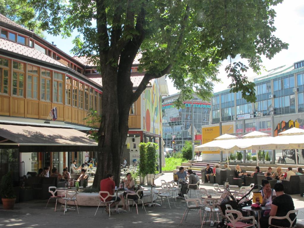 un gruppo di persone seduti ai tavoli sotto un albero di MCC Hostel a Celje