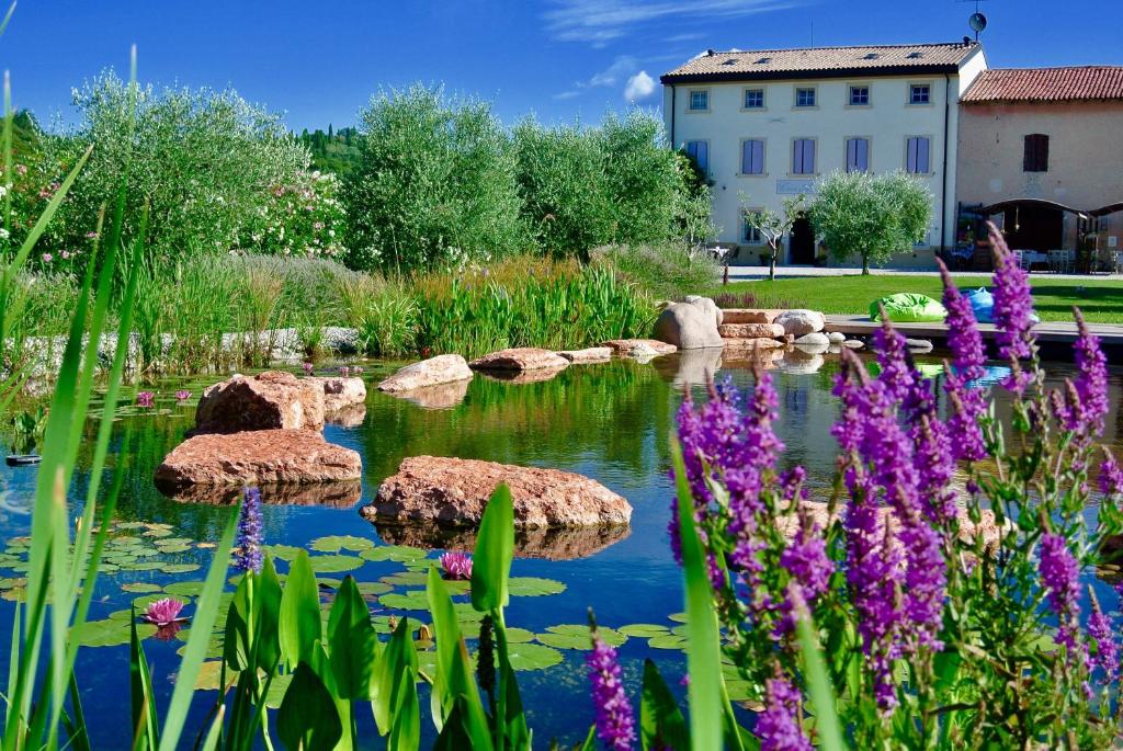 een tuin met rotsen in het water met paarse bloemen bij Agriturismo Casa Aurora in Bussolengo