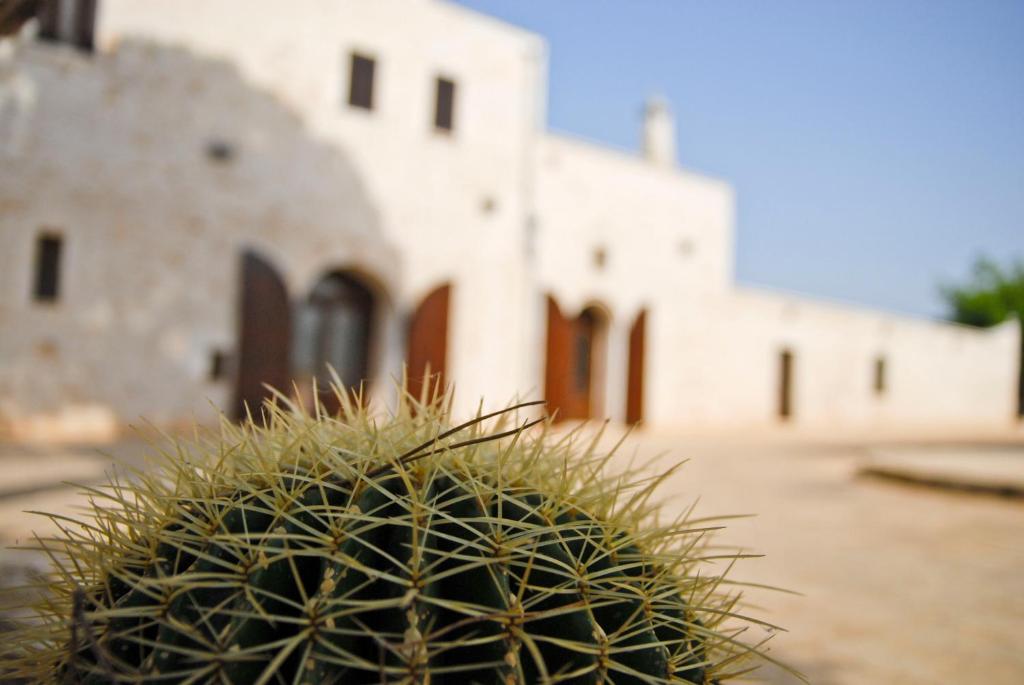 Ostuni'deki Masseria Valente tesisine ait fotoğraf galerisinden bir görsel