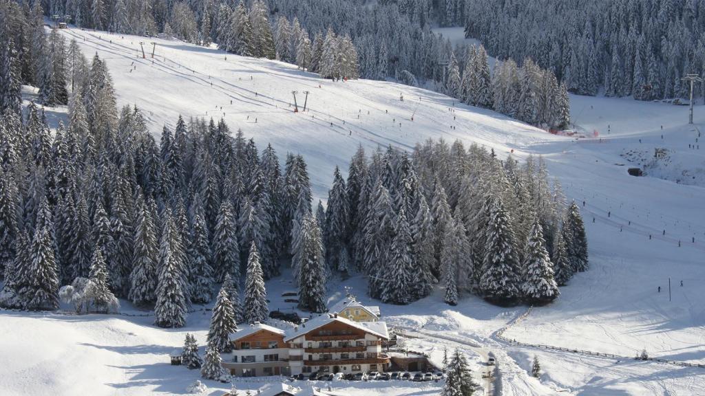 Garni Hotel Rosengarten B&B om vinteren