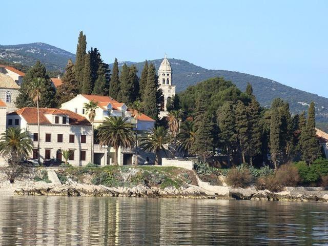 een groot gebouw aan de oever van een waterlichaam bij Apartments Jasmina in Korčula