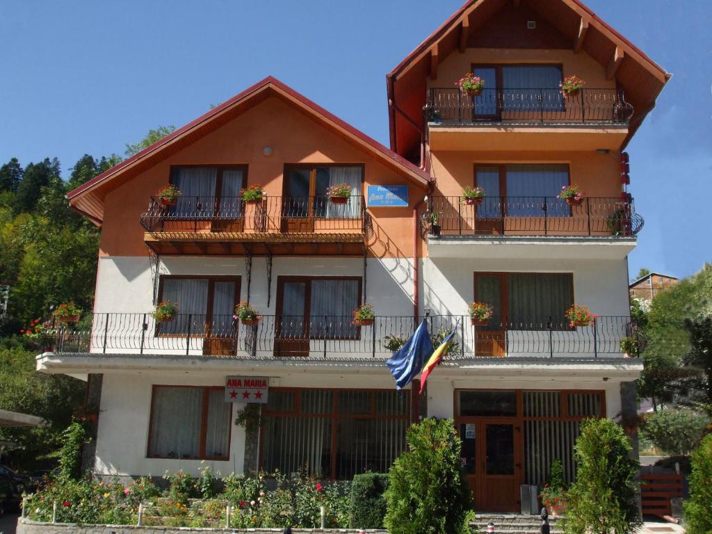 een gebouw met een vlag ervoor bij Vila Ana-Maria in Sinaia