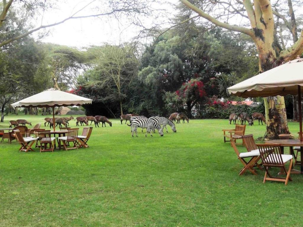 גינה חיצונית ב-Muthu Lake Naivasha Country Club, Naivasha