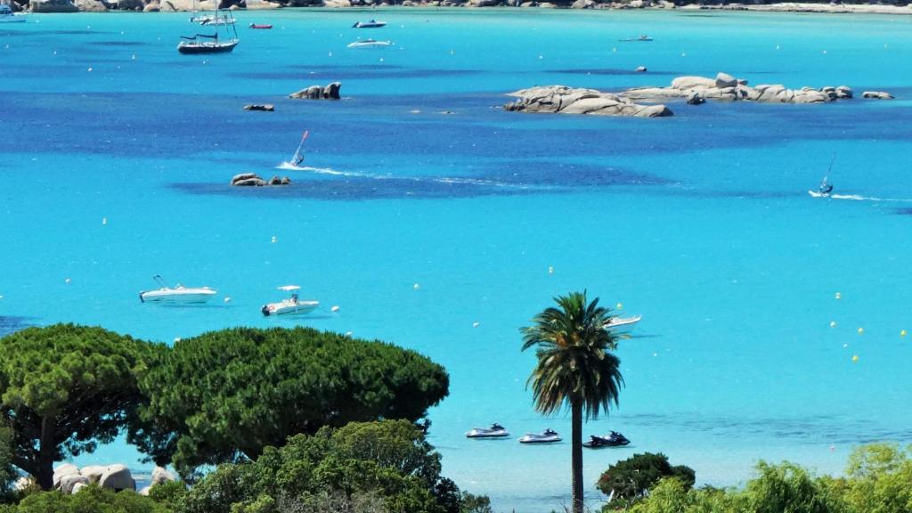 een uitzicht op een blauwe baai met boten en een palmboom bij Residence Bellavista à Santa Giulia, proche de la plage et vue mer in Porto-Vecchio