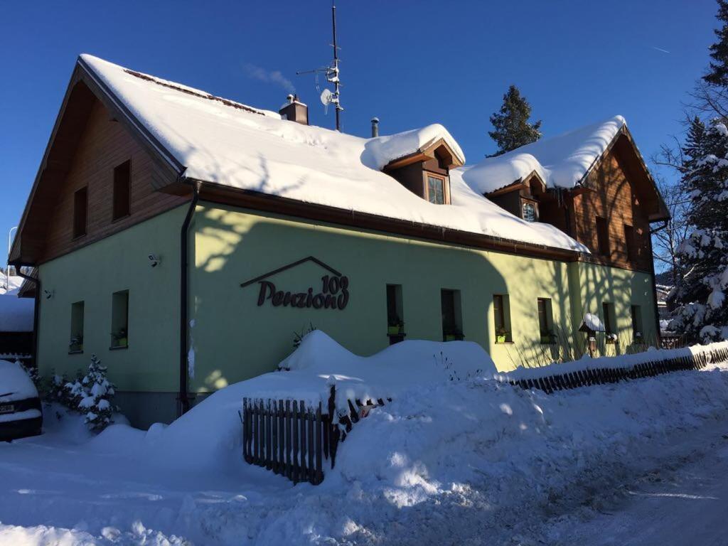 a building covered in snow with snow on the ground at Penzion 103 in Železná Ruda